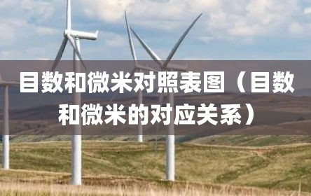 公司销售商品、提供劳务收到的现金为4.17亿元