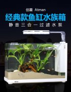<b>更在技术上实现了多项突破</b>