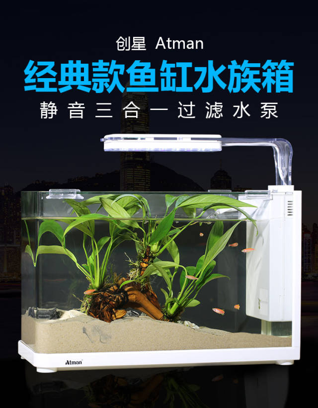 更在技术上实现了多项突破